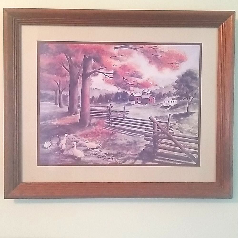 Vintage FarmHouse & Goose Framed Print